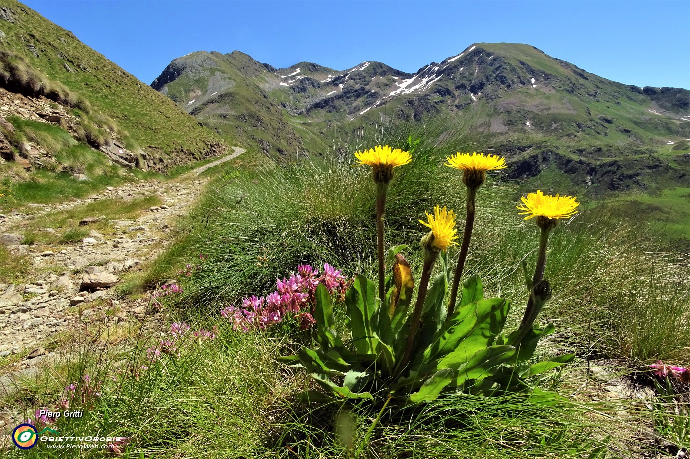 21 Rientrato alla Terzazza Salomon salgo lungo il segnavia 204 verso il Lago Moro.JPG -                                